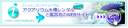 �������ꥦ������󥿥�ȴվ��Ӥ�WEB�����Ȥغ�������������!!