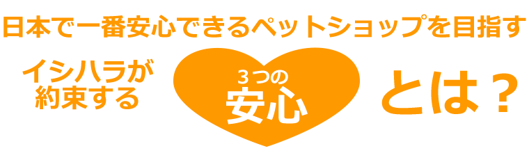 日本で一番安心できるペットショップを目指すイシハラが約束する3つの安心とは？