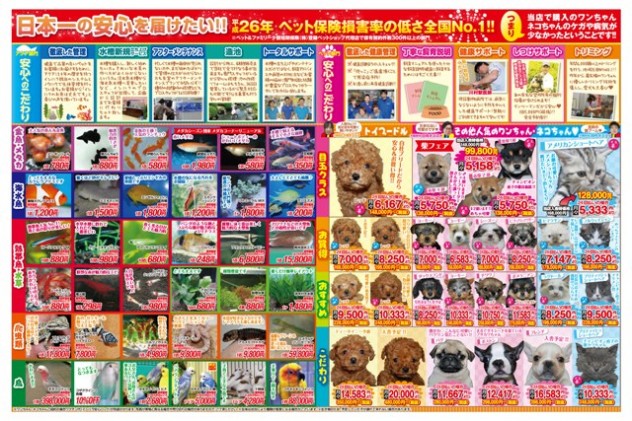 1704_fishandpetishihara_yoko_D4_B_OL