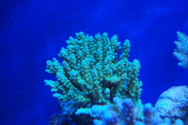 251222 (1)