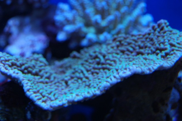 251222 (2)