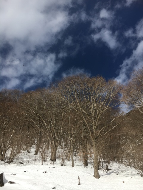 290115 (4)