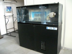 DSCF1647