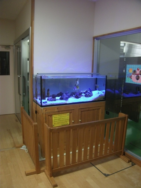 dscf4450