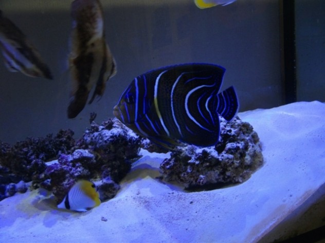 dscf4452