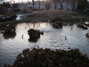 DSCF5825