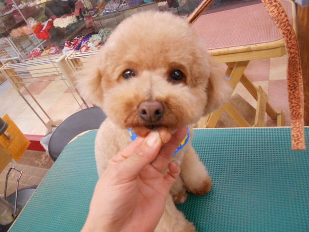 DSCN0169