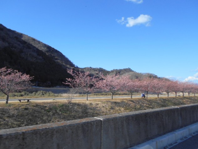 DSCN0246