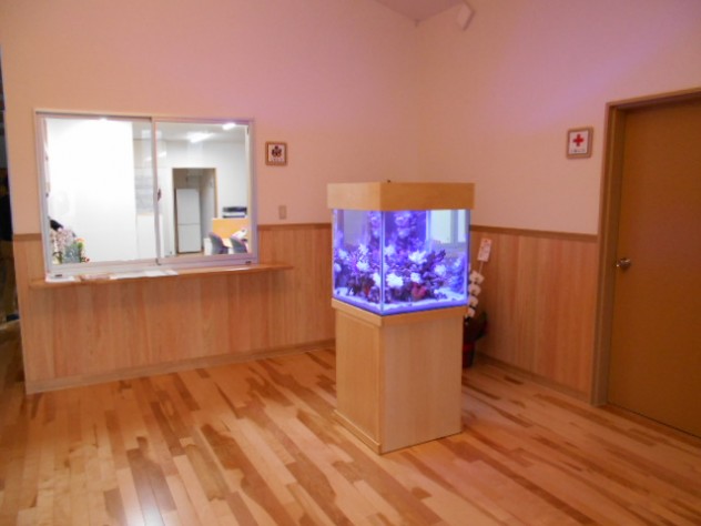 DSCN0313