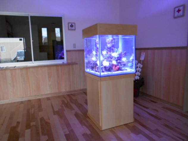 DSCN0318