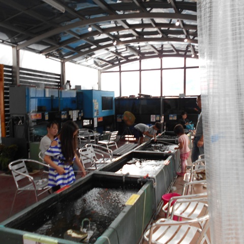 DSCN0376