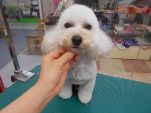 DSCN0791