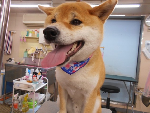 DSCN1068
