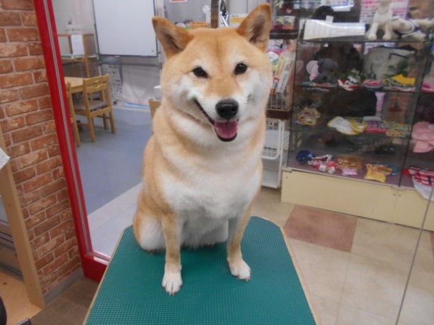 DSCN1257