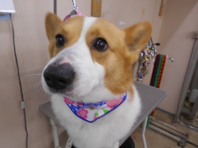 DSCN1348