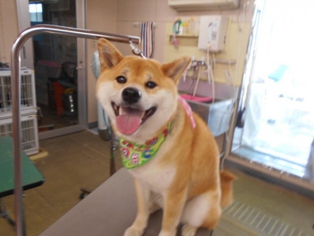DSCN2225