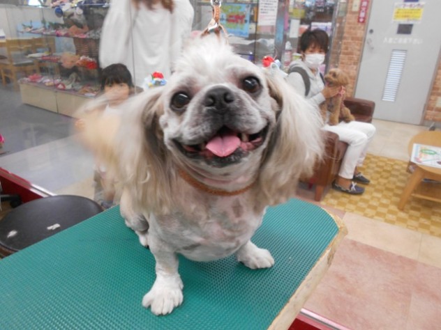 DSCN2482