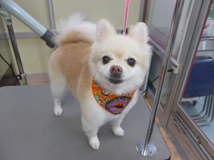 IMG_0005