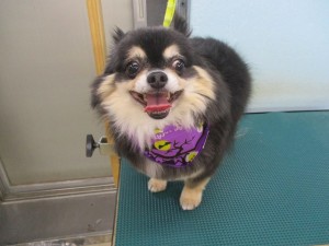 IMG_0065