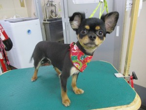 IMG_0320
