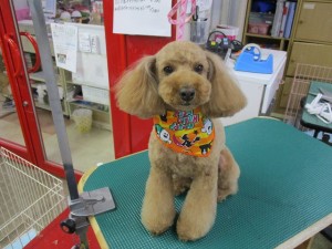 IMG_0376