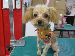 IMG_0381 (2)