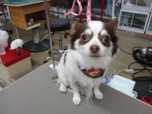 IMG_0430