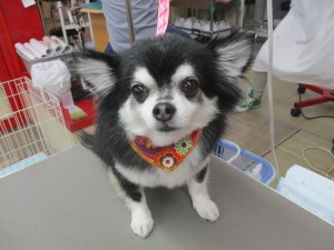 IMG_0431