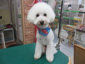 IMG_0480 (2)
