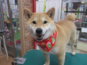 IMG_0870