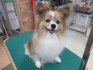 IMG_1769