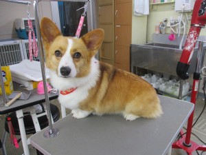 IMG_2033