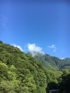 IMG_8089