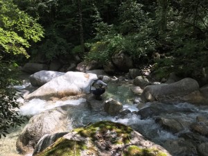 IMG_8294