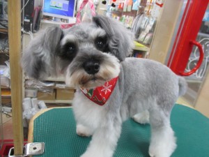 img_9885