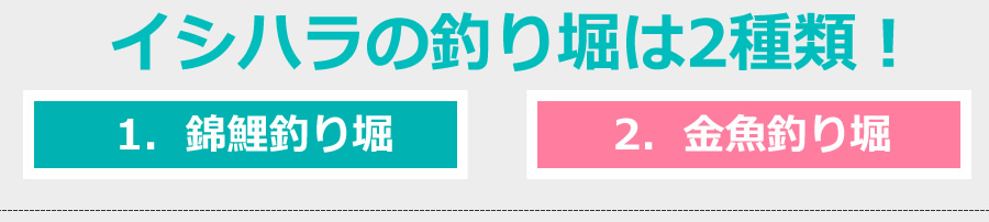 山梨　イシハラの釣り堀は2種類！1．錦鯉釣り堀、2．金魚釣り堀