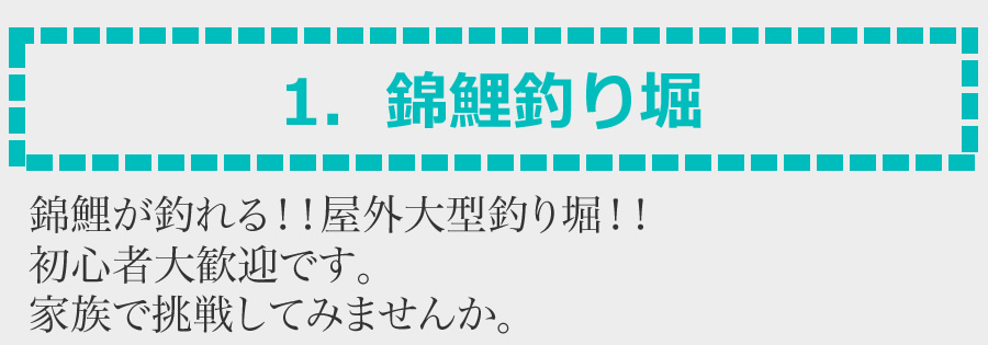 1．錦鯉釣り堀　錦鯉が釣れる！！山梨で　屋外大型釣り堀！！初心者大歓迎です。家族で挑戦してみませんか。