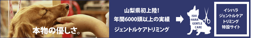 イシハラは挑戦し続けます！ジェントルケアトリミング特設サイト