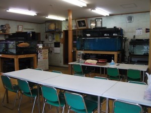 西湖キャンプ場店内 (1)