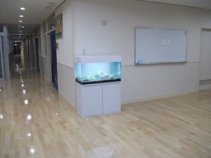 笛吹市　ｈ保育園 (2)９０㎝水草水槽